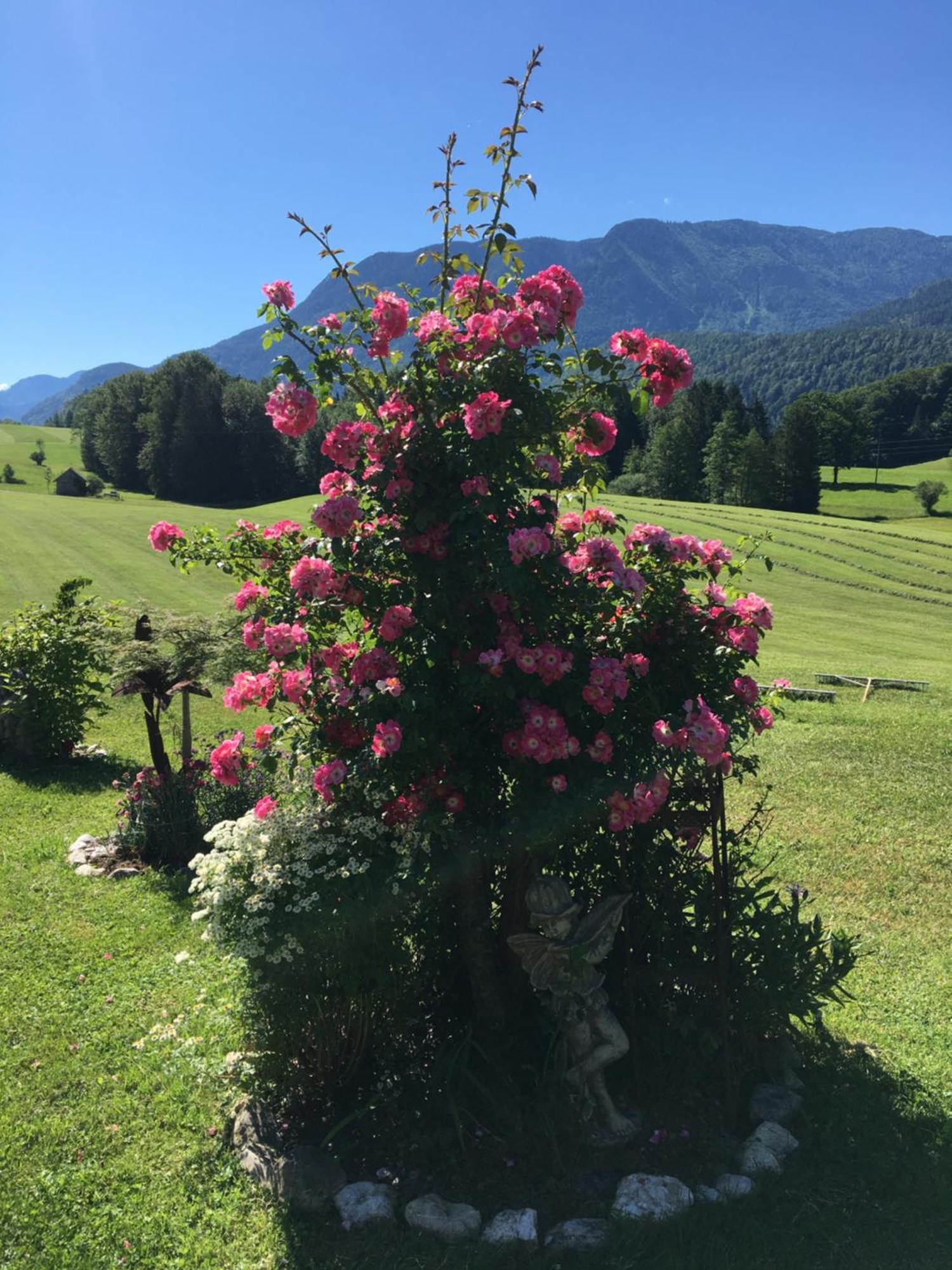 Maislbauer Villa Saint Wolfgang Kültér fotó